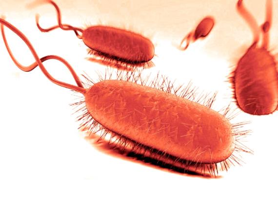 
HELICOBACTER PYLORI: GIOCHIAMO D'ANTICIPO!